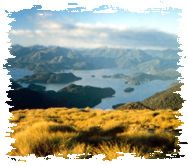 Fiordland