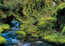 CU14-Routeburn-Track-Fiordland-Gilbert-van-Reenen