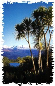 Mt Tongariro