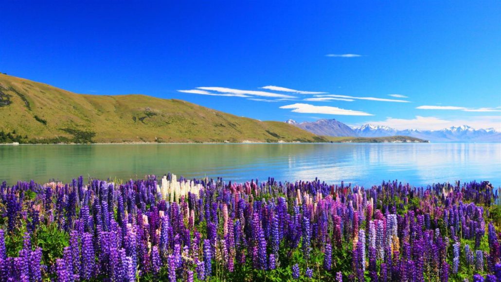 Lago Tekapo